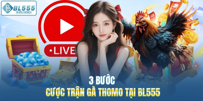 cách cược đá gà thomo