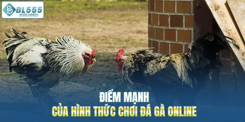 điểm mạnh của hình thức đá gà 